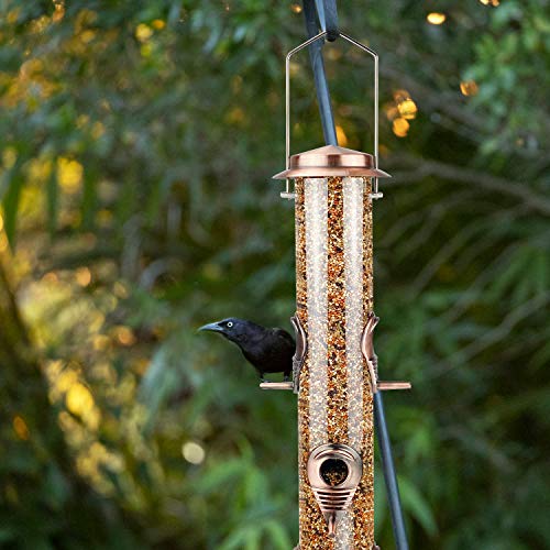 Metal Tube Bird Feeders for Outdoor Bird Watching
