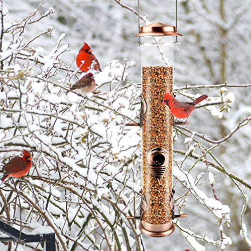 Metal Tube Bird Feeders for Outdoor Bird Watching