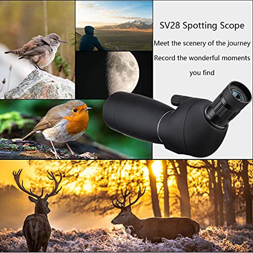 SVBONY Spotting Scope Kit for Bird Watching