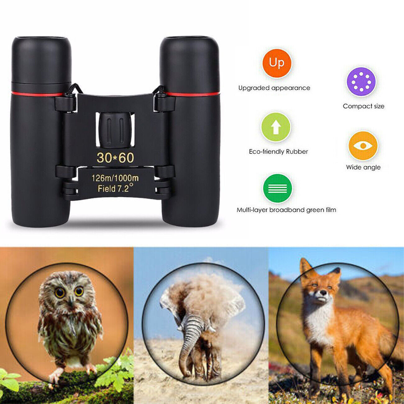 Compact Folding Binoculars for Bird Watching
