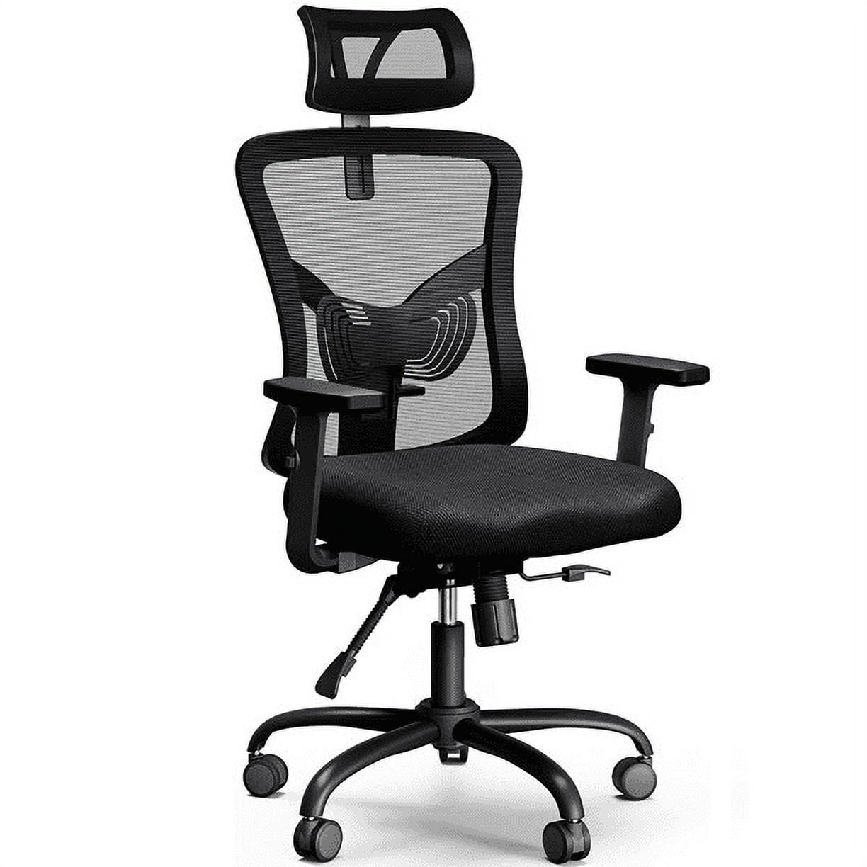 Ergonomic Mesh Office Chair with Lumbar Support