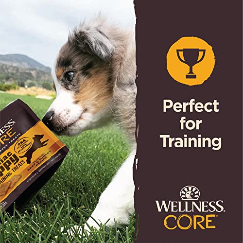 Poodle Puppy Soft Training Treats, Grain-Free, Beef & Turkey, 5oz