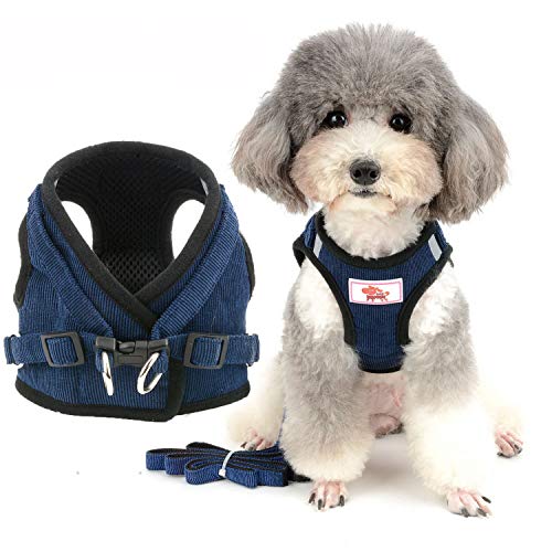 Adjustable Reflective Poodle Dog Harness Leash Set