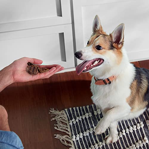 Poodle Dog Treats: Rachael Ray Nutrish Burger Bites