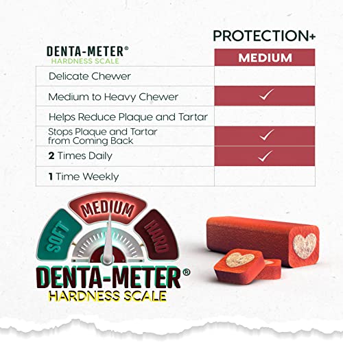 Poodle Dental Chews: Ark Naturals Protection+ Brushless Toothpaste