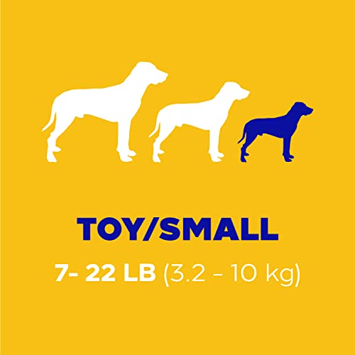 Dental Dog Treats for Toy/Small Poodles - Fresh Flavor, 1.54 lb