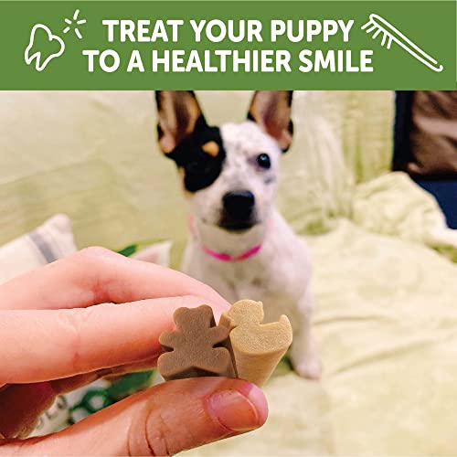 WHIMZEES Puppy Dental Chews, Long Lasting, Grain-Free, Freshens Breath
