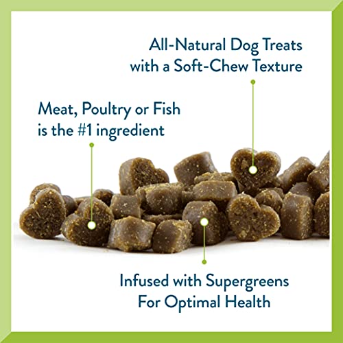 Roasted Chicken Poodle Dog Treats - Orange 6oz