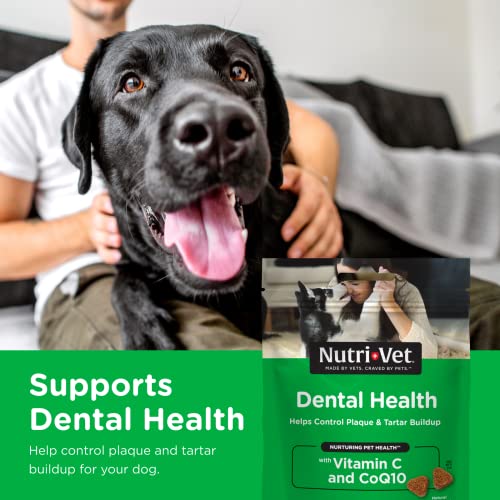 Poodle Dental Chews | Controls Plaque & Tartar
