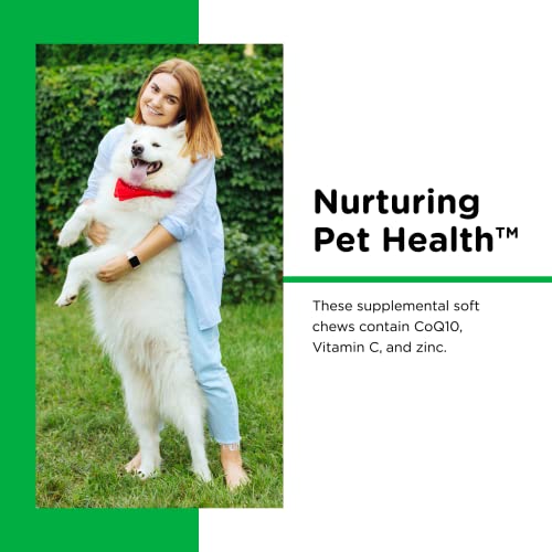 Poodle Dental Chews | Controls Plaque & Tartar