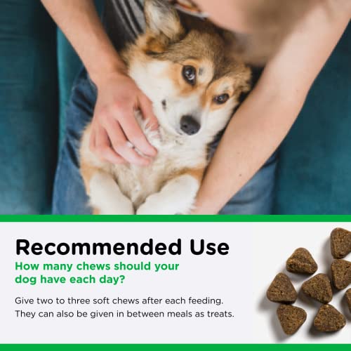Poodle Dental Chews | Controls Plaque & Tartar