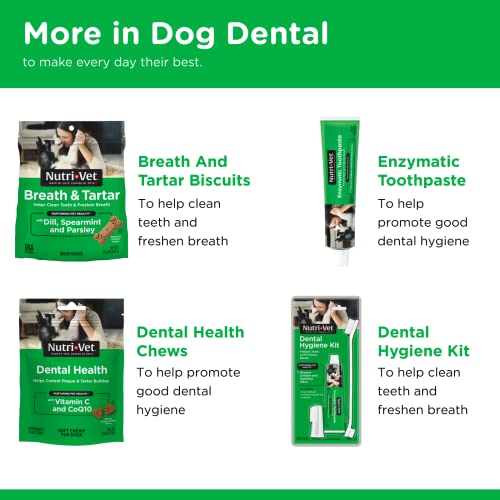 Poodle Dental Chews | Controls Plaque & Tartar
