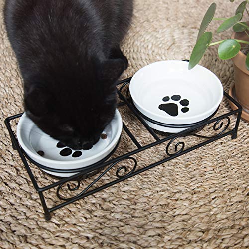 Poodle Dog Ceramic Pet Bowl Set - Retro Metal Stand