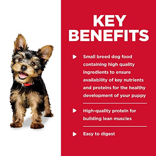 Poodle Puppy Wet Dog Food, Small Stew 12-Pack