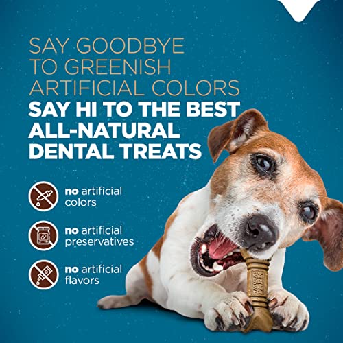 Poodle Dental Chew: Freshens Breath, Fights Plaque (12 Treats)