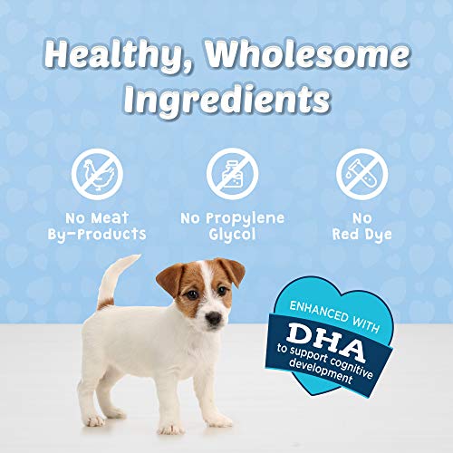 Blue Buffalo Poodle Dog Treats, Beef Recipe 19oz
