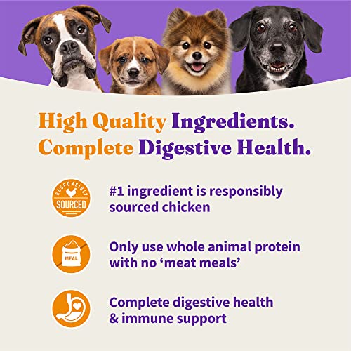 Holistic Poodle Dog Food: Chicken & Brown Rice