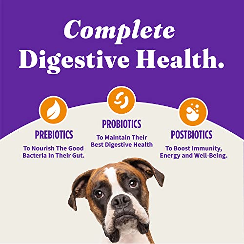 Holistic Poodle Dog Food: Chicken & Brown Rice