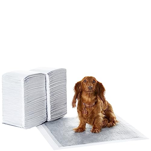 Poodle Potty Training Pee Pads - Pack of 120