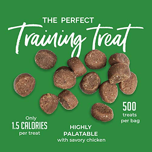 Chicken Buddy Biscuits Training Bites - 10 oz