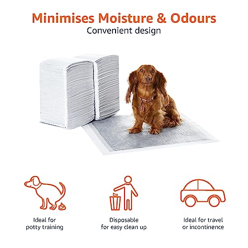 Poodle Potty Training Pee Pads - Pack of 120