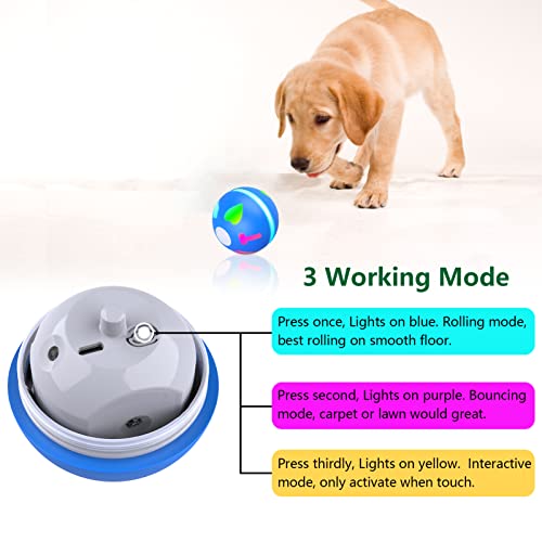 Motion-Activated Poodle Dog Wicked Ball Interactive Toy