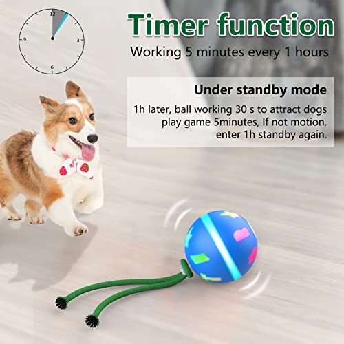 Motion-Activated Poodle Dog Wicked Ball Interactive Toy
