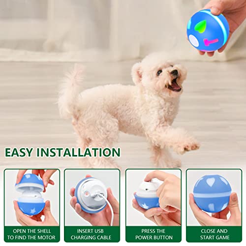 Motion-Activated Poodle Dog Wicked Ball Interactive Toy