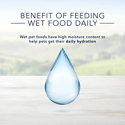 Blue Buffalo Small Breed Wet Dog Food Cup, Prime Rib Flavor (12 Pack)