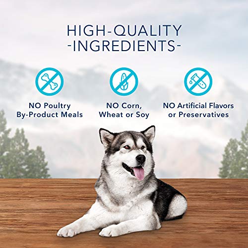Poodle Dog Training Treats: Blue Buffalo Wilderness Salmon Bits