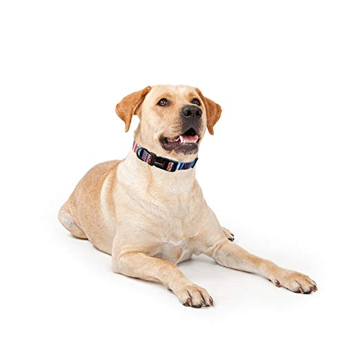 Floral Print Poodle Collar: Adjustable and Stylish