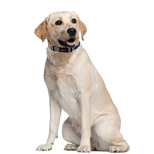 Floral Print Poodle Collar: Adjustable and Stylish