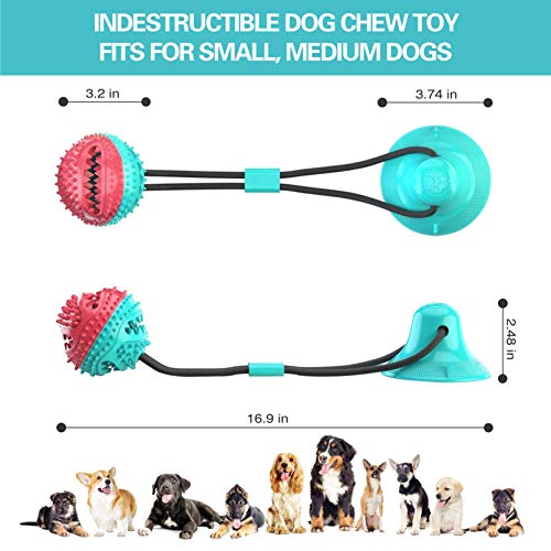 Poodle Dog Toys: Interactive Chewers' Delight!