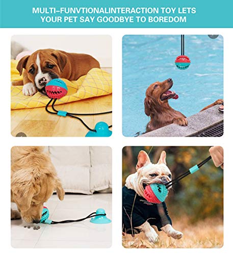 Poodle Dog Toys: Interactive Chewers' Delight!