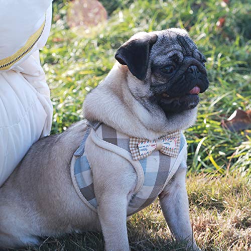 Poodle Padded Mesh Front Harness with Leash