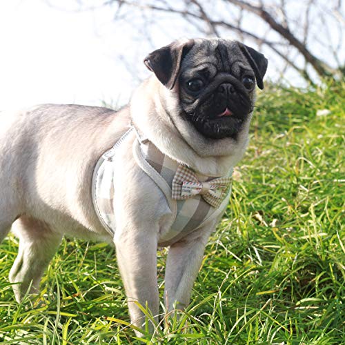 Poodle Padded Mesh Front Harness with Leash