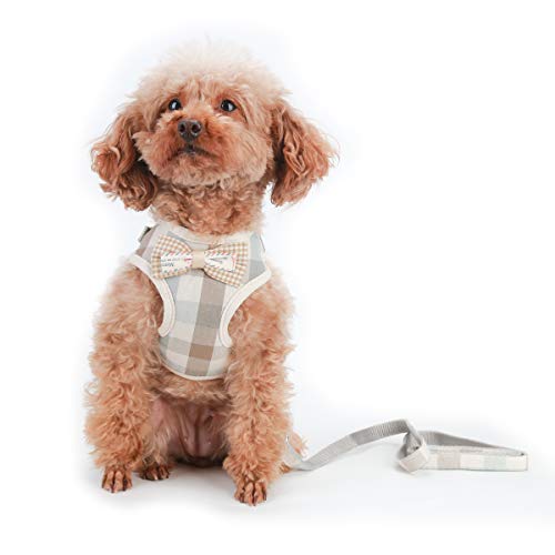 Poodle Padded Mesh Front Harness with Leash