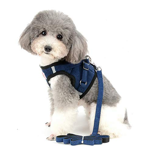 Adjustable Reflective Poodle Dog Harness Leash Set