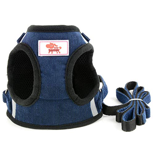 Adjustable Reflective Poodle Dog Harness Leash Set