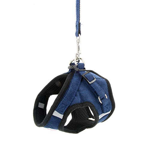Adjustable Reflective Poodle Dog Harness Leash Set