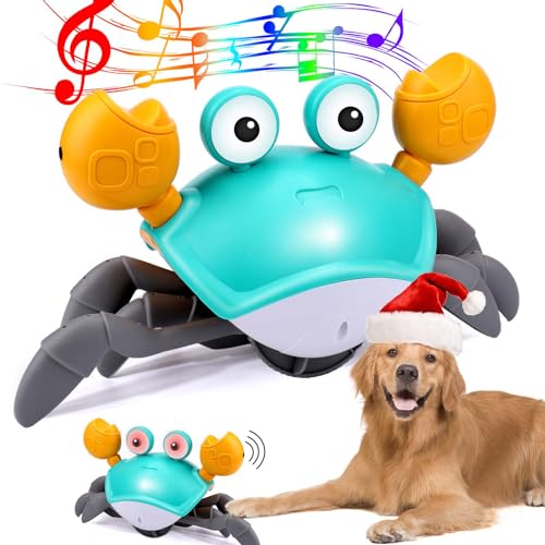 Crawling Crab Dog Toy with Lights & Music