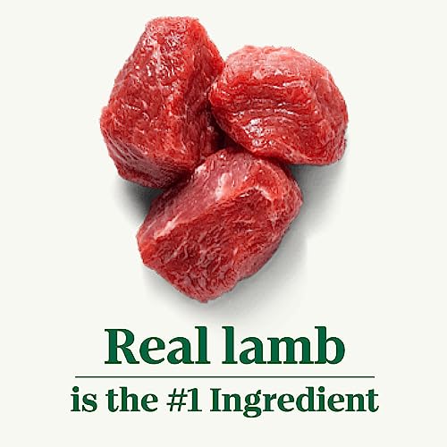 Small Bites Lamb & Brown Rice Dog Food - 12 lb