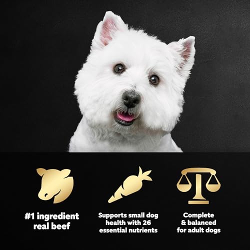Poodle-Sized CESAR Dry Dog Food, Filet Mignon Flavor