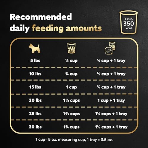 Poodle-Sized CESAR Dry Dog Food, Filet Mignon Flavor