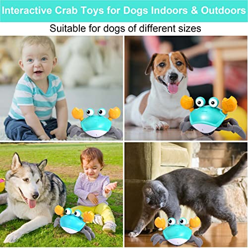 Crawling Crab Dog Toy with Lights & Music