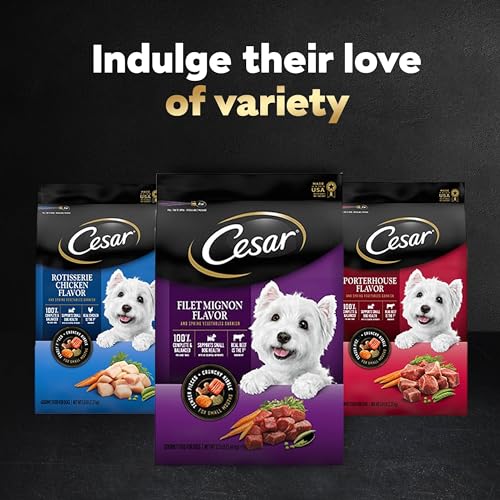 Poodle-Sized CESAR Dry Dog Food, Filet Mignon Flavor