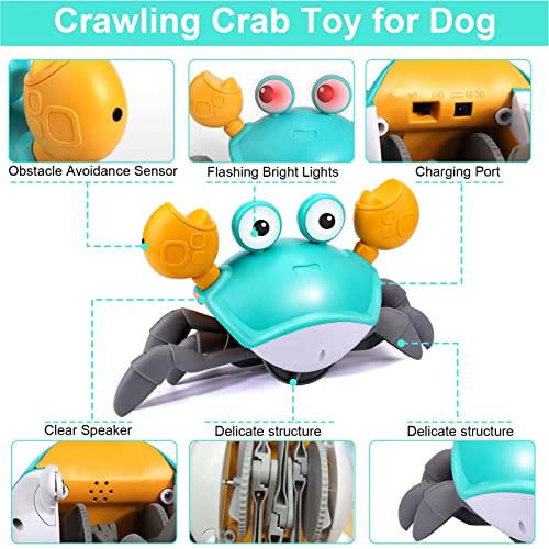 Crawling Crab Dog Toy with Lights & Music