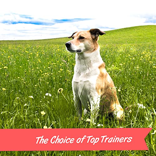 Poodle Dog Training Treats: Real Pork Liver, 20 oz