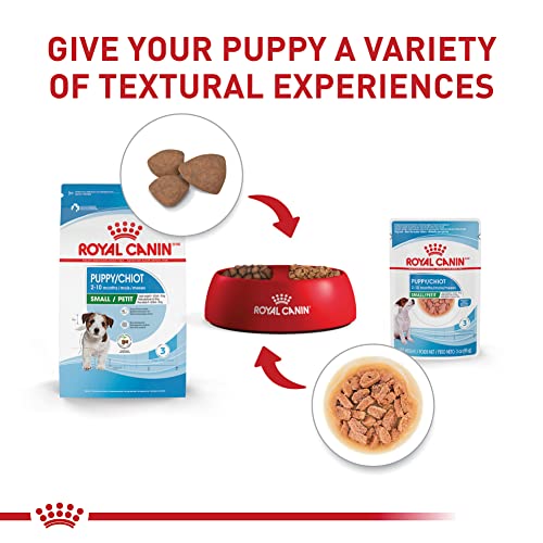 Poodle Puppy Wet Dog Food, 12-pack