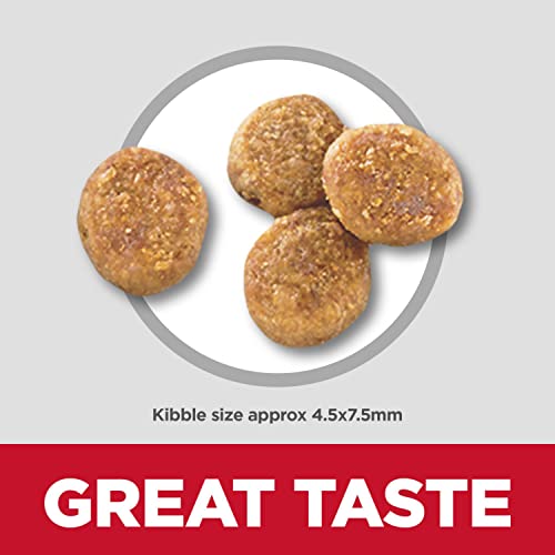 Poodle Dog Food: Hill's Science Diet Perfect Weight